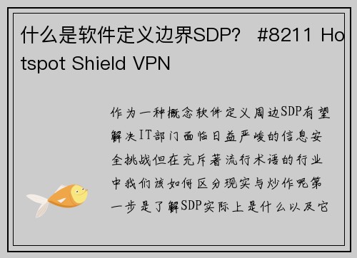 什么是软件定义边界SDP？ #8211 Hotspot Shield VPN