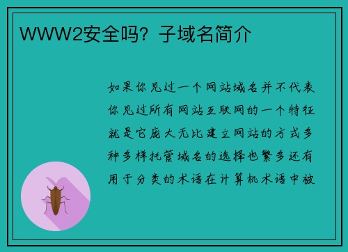 WWW2安全吗？子域名简介 
